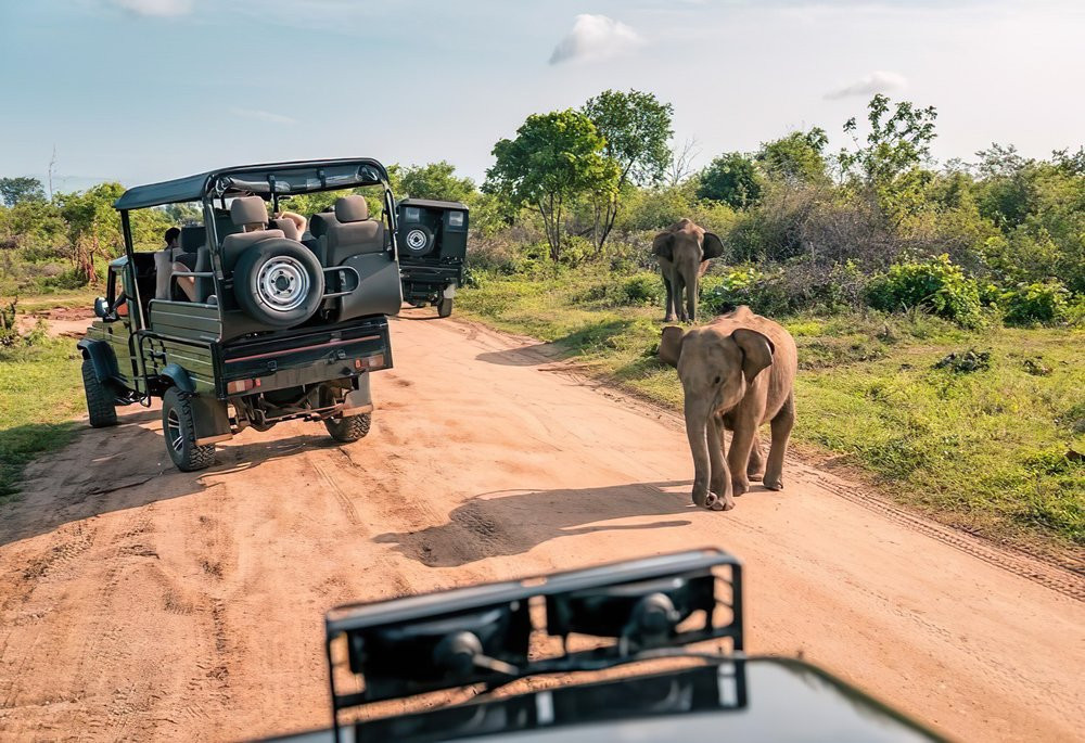 Offerte Safari Tsavo Est 1 notte e Futura Club Twiga